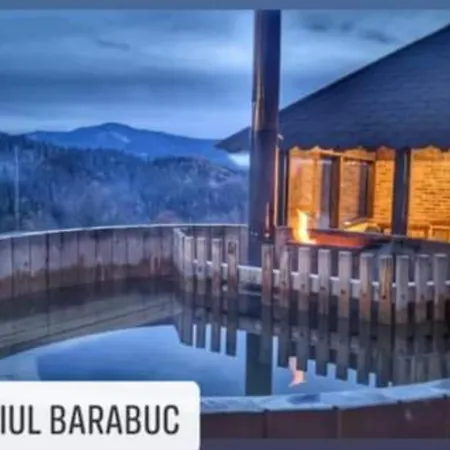 Domeniul Barabuc Holiday home