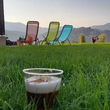 Domeniul Barabuc Holiday home Colibita