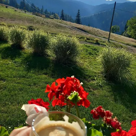 Domeniul Barabuc Colibita