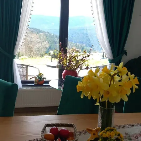 Domeniul Barabuc Holiday home Colibita