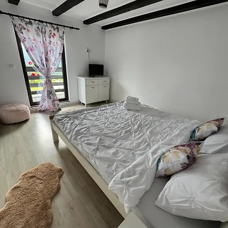 Domeniul Barabuc Holiday home *
