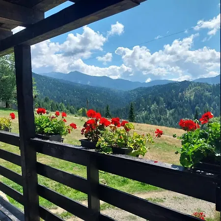 Domeniul Barabuc Holiday home Colibita